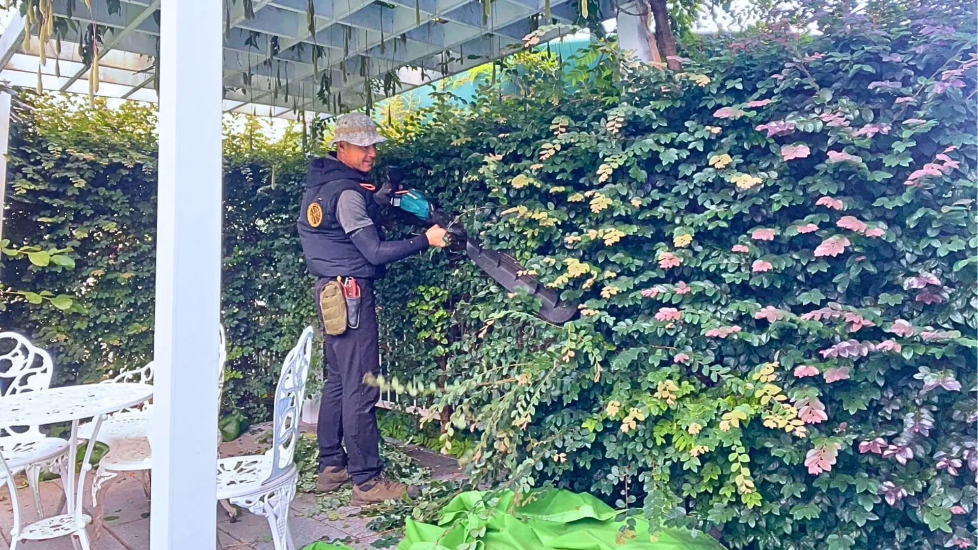 庭木の手入れ中の画像